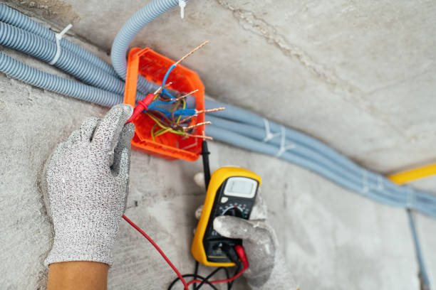 Best Local Electrician Companies  in Bellevue, IA